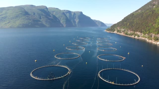 Sea fish farm in Norway. Aerial drone shot.