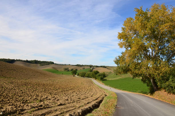 istock Plowed Fields Ready for Crops in Tuscany Italy 1141457424