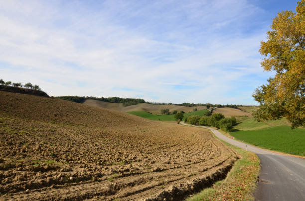 istock Plowed Fields Ready for Crops in Tuscany Italy 1141457435
