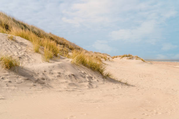 istock view over the dunes to the sea with blue sky 1141457491