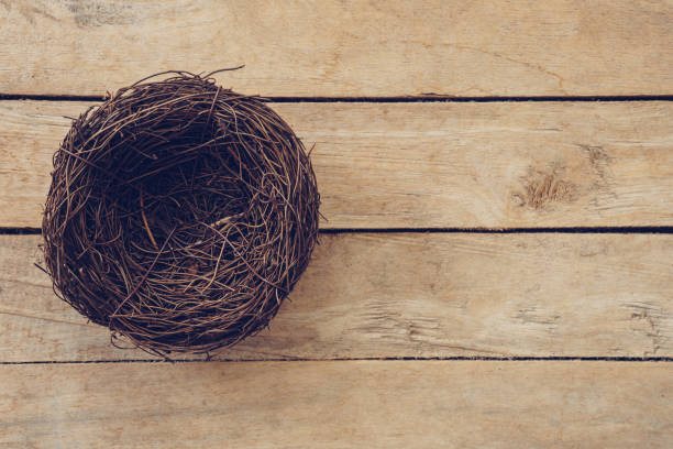 istock Wood nest on wooden background and texture with copy space. 1141458399