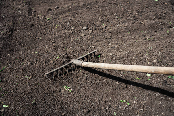 istock man loosens the earth with a rake 1141458869