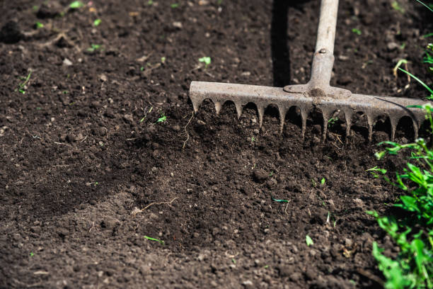 istock man loosens the earth with a rake 1141458917