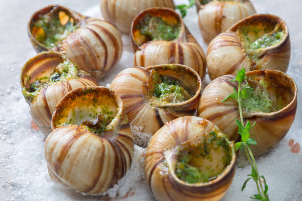 istock Baked snails with garlic butter and fresh herbs 1141463757