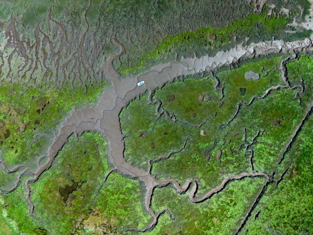 istock Natural patterns at low tide similar to veins and small boat. 1141468412