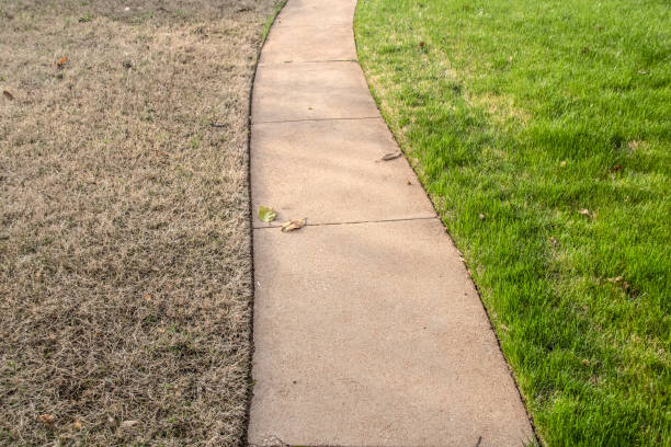 marciapiede con festuca verde da un lato e erba delle bermuda brunastre dall'altro lato in primavera - susan foto e immagini stock