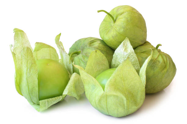 Fresh green tomatillos (Physalis philadelphica) with a husk Fresh green tomatillos (Physalis philadelphica) with a husk on white background tomatillo photos stock pictures, royalty-free photos & images
