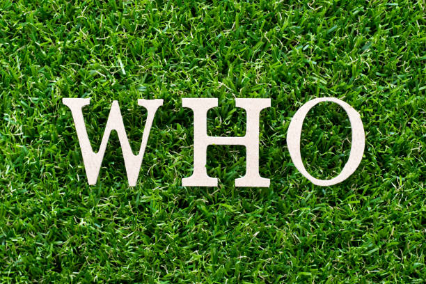 istock Wood letter in word who on artificial green grass background 1141479237