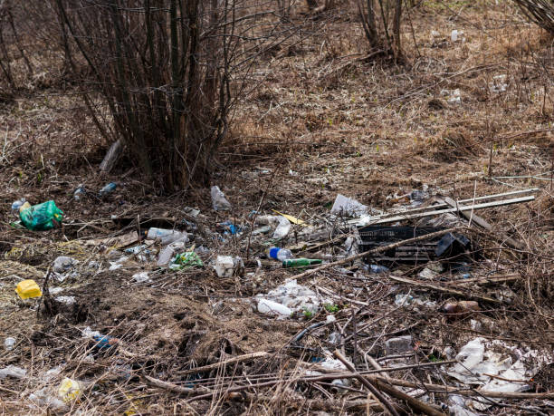 istock Pollution of the surrounding nature 1141481194