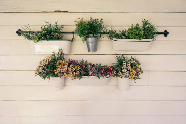 istock Hanging Flower On Wooden Wall 1141481430