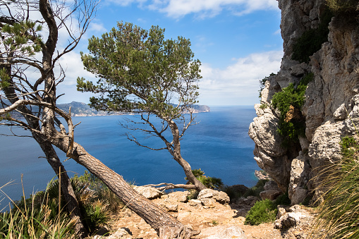 View of the Bay of Pollenca (Mallorca) from the Hiking Path to La Victoria