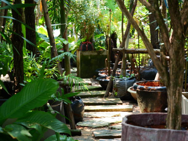 istock block walkway in the garden 1141482694