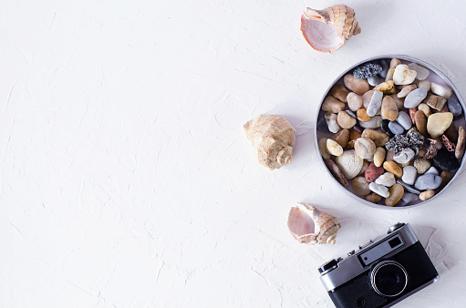 Summer background with camera, shells and sea pebbles. There is a place for text.