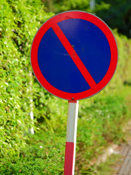 istock Stop sign among the trees and leaves 1141484187