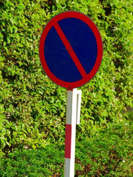 istock Stop sign among the trees and leaves 1141484362