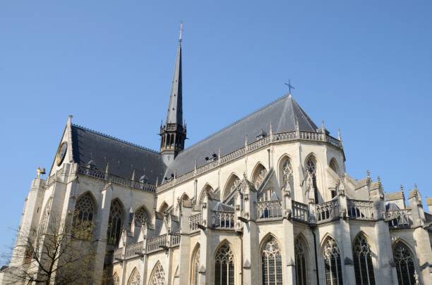istock Saint Peter Church in Leuven 1141485158