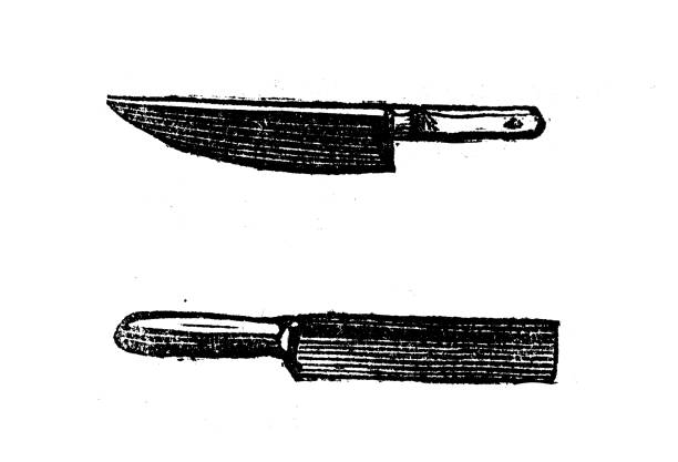 античная иллюстрация ножей - small putty knife box cutter knife knife stock illustrations
