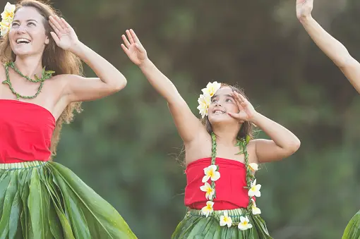 Hula's Rixa Hula Hula | Fotos | Baixe imagens gratuitas na Unsplash