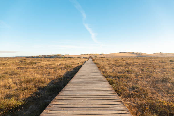 istock Access to the Corrubedo Dunes 1141488673