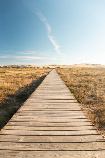 istock Access to the Corrubedo Dunes 1141488782
