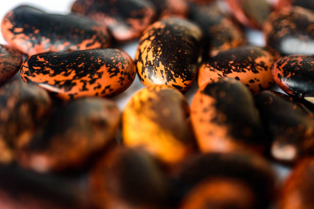 heap of beans ;daylidht;close-up ;bulgarian sort of brown-black beans