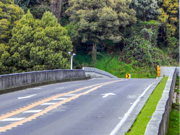 Vehicular bridge with trees in the background