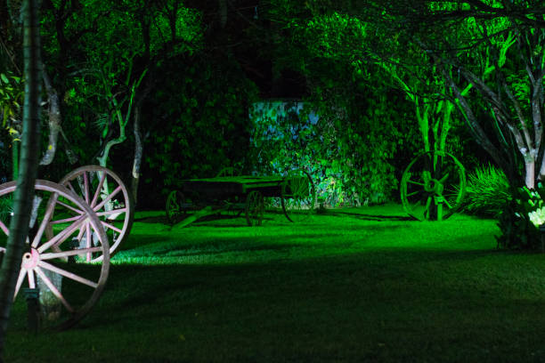 ogród nocny - formal garden ornamental garden lighting equipment night zdjęcia i obrazy z banku zdjęć