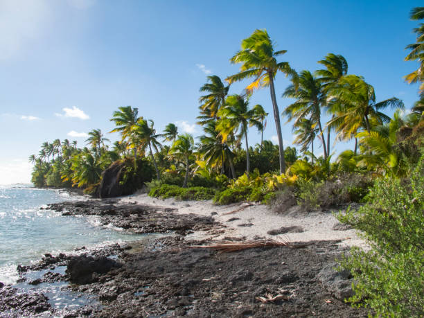 istock Tuamotus archipelago french polynesia 1141494119