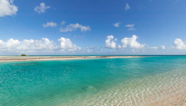 istock Tuamotus archipelago french polynesia 1141494148