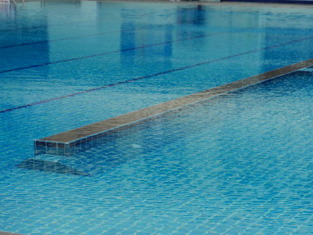 istock Reflection of palm trees over swimming pool 1141494947