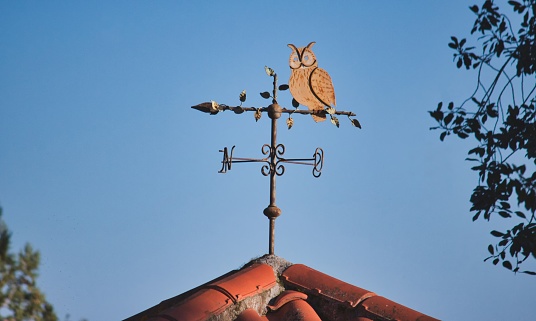 Metal weather vane shaped like an owl on top of a terracotta tiled roof against a blue sky background