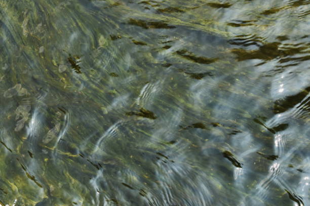 istock water flowing and rippled in canal 1141499100