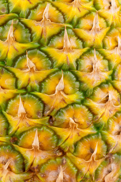 istock Close up texture of fresh ripe pineapple. 1141500642