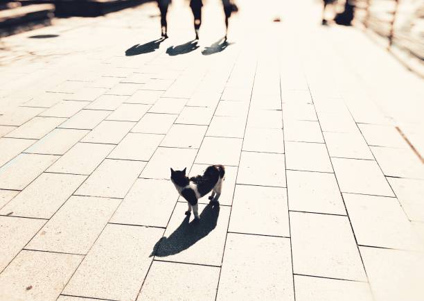 Shot and edit on iPhone