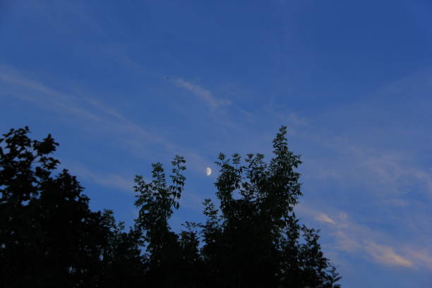 istock Half Moon by Andrea Lawrence C 1020377 Saskatchewan 1141508486