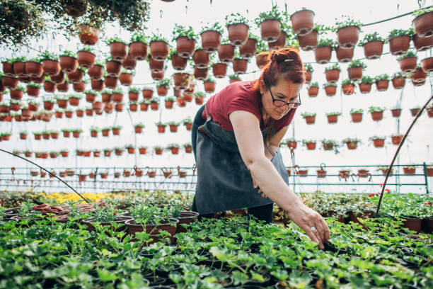 istock Woman nursing flowers 1141509114