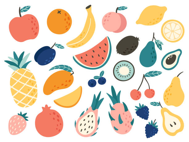 ilustraciones, imágenes clip art, dibujos animados e iconos de stock de doodle frutas. fruta tropical natural, garabatos cítricos de naranja y vitamina limón. vegan cocina de manzana dibujado a mano ilustración vectorial - frutas tropicales