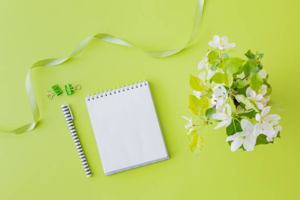 istock Mockup white notebook with spring white flowers on a green background 1141513299