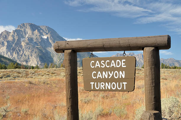 istock Cascade Canyon Turnout, Wyoming 114151346