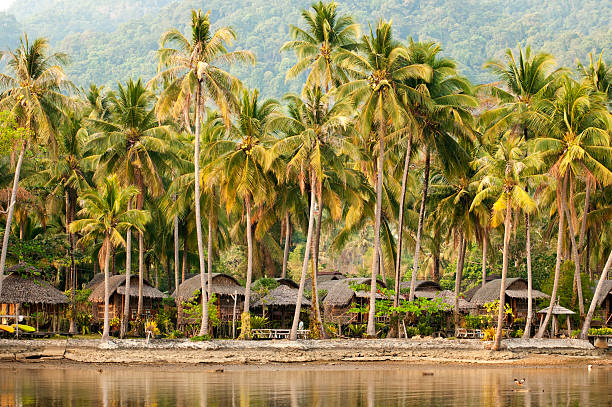 istock bungalow resort in thailand 114151390