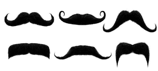 vintage moustache. lustige retro-stauche, gefälschte schnurrbart und isolierte lockige haar-mauchbart vektordarstellung - schnurrbart stock-grafiken, -clipart, -cartoons und -symbole