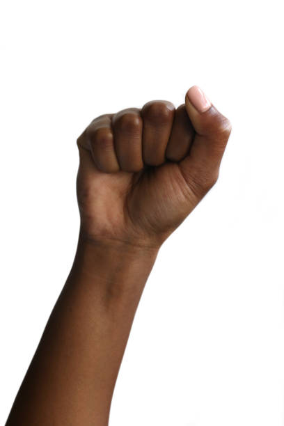 Three clenched fists are raised in defiance or triumph. Isolated on white. 