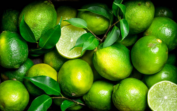 jugosa lima madura con follaje. - limones verdes fotografías e imágenes de stock