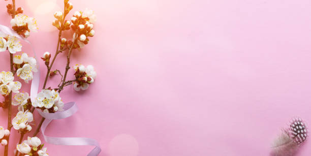 istock Spring border or background art with pink spring tree blossom. Beautiful fresh blooming tree branch on pink background 1141520195