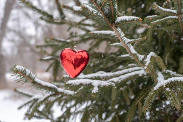 istock Red heart shaped ornament on snow covered pine tree 1141520578