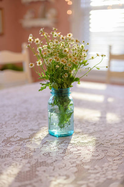 istock Chamomile flowers in blue glass jar on dining room table 1141521432