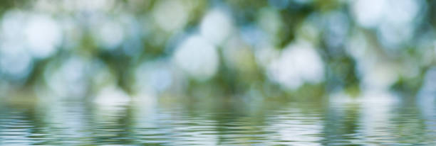 istock image of water on a blurred background 1141522857