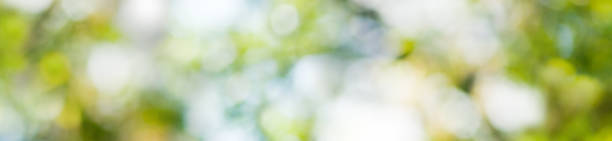 istock abstract image of natural blurred background close up 1141522899