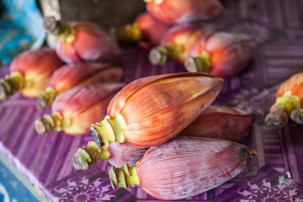 Purple Banana Flower / Blossom