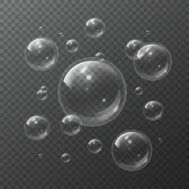 Vector illustration of Soap bubbles. Aqua spheres blowing air foam bubble shampoo soap transparent bubbling shiny bubbly 3d isolated vector texture